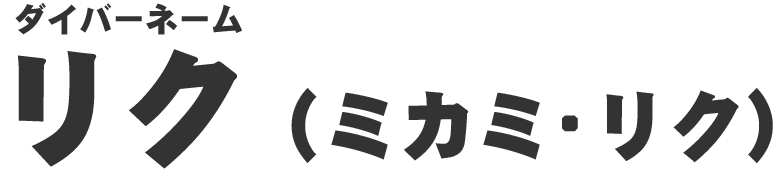 リク（ミカミ・リク）